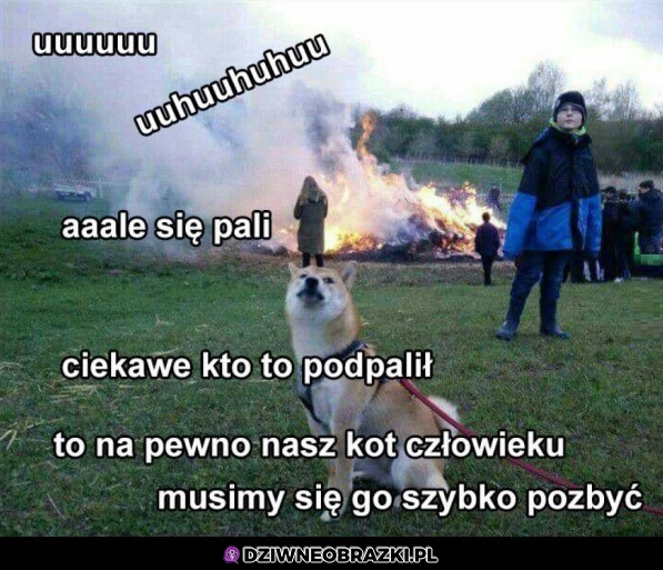 Pali się