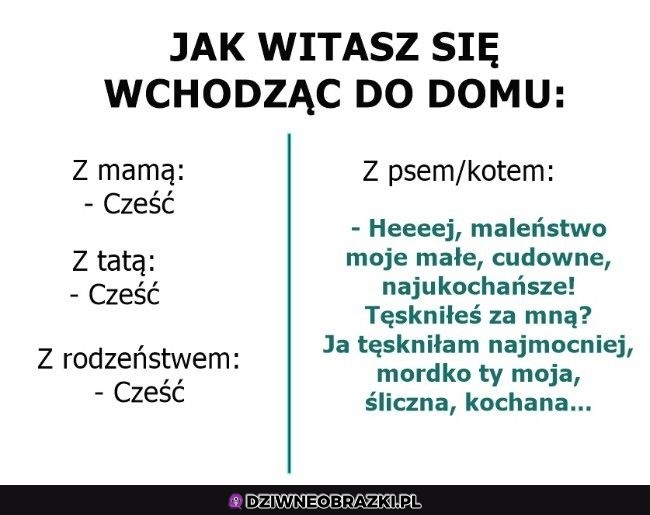 Przywitanie Przywitanie