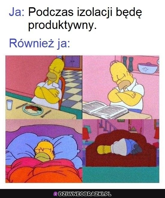 Jednak nic z tego
