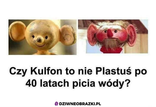 Kulfon i Plastuś