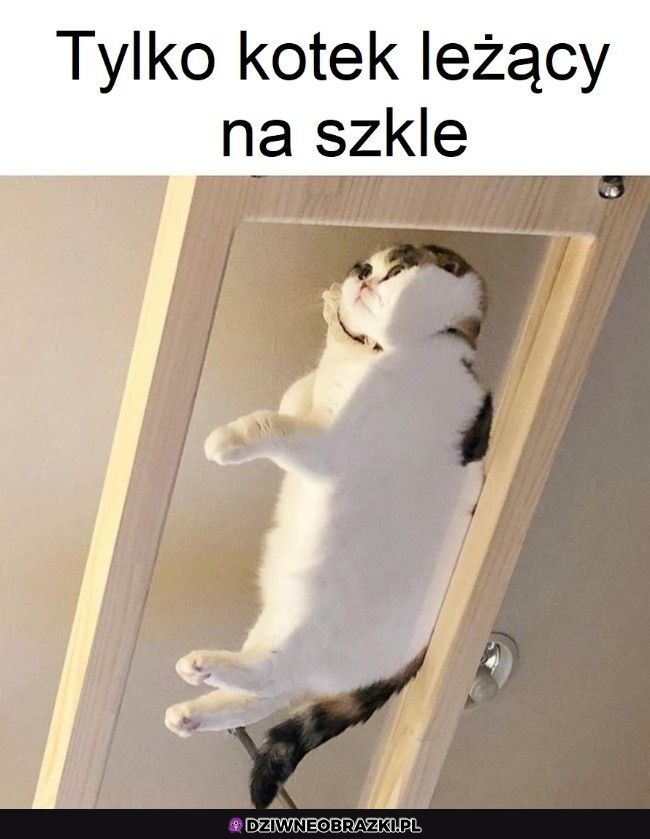 Zostaw lajka i przewijaj dalej