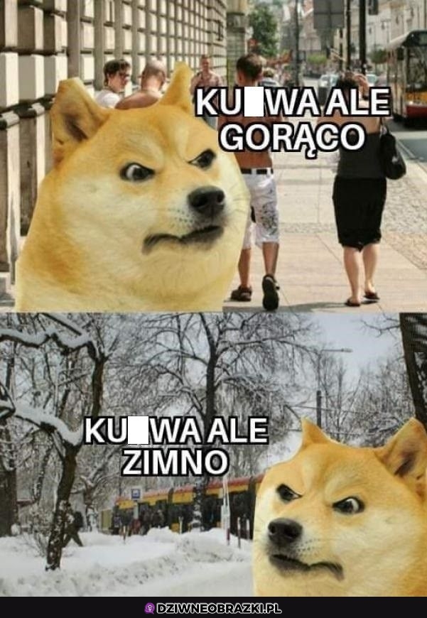 Nigdy nie dogodzisz