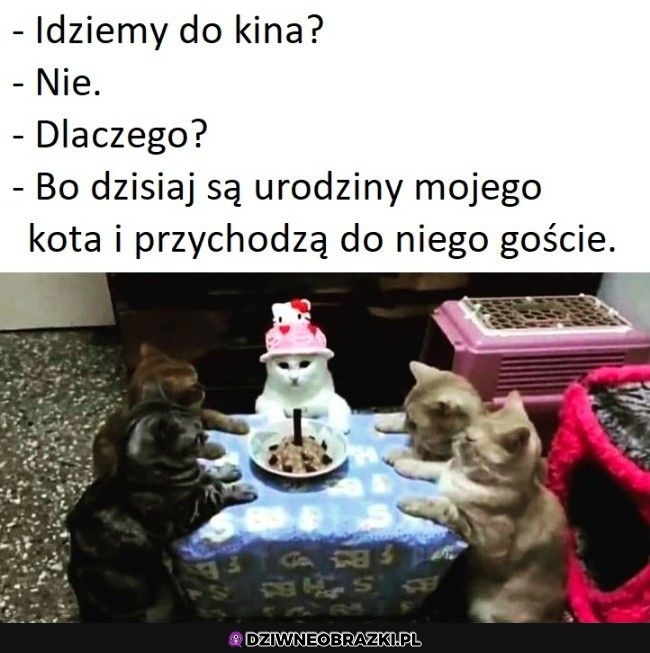 Rozumiem