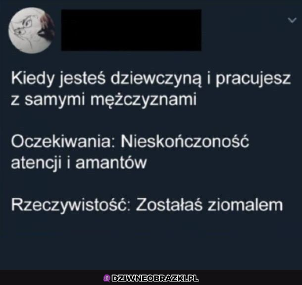 Praca z facetami