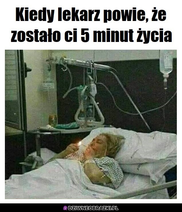 Nic do stracenia