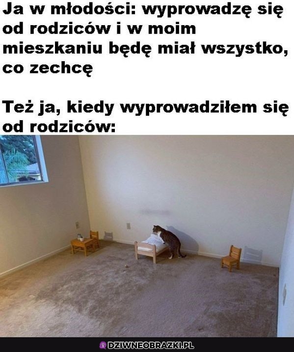 Tak to właśnie wygląda