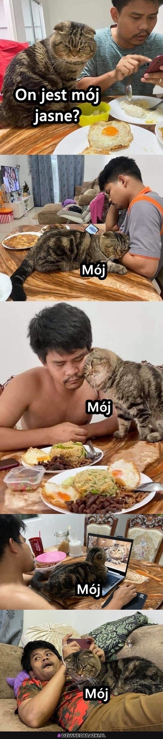 Mój