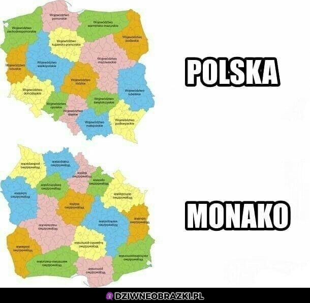 Polska vs Monako