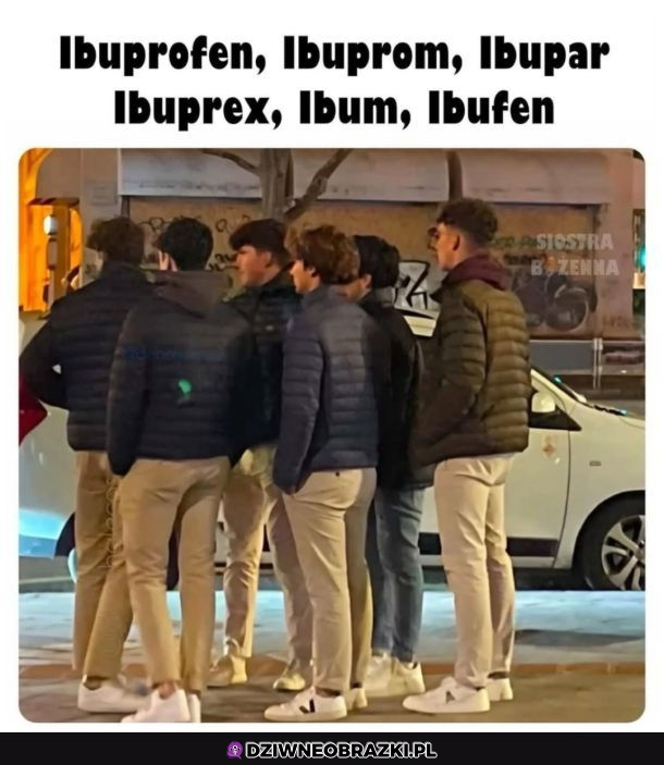 Zebranie Ibu