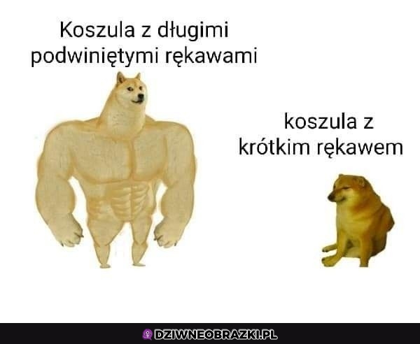 Z długimi zawsze lepsza