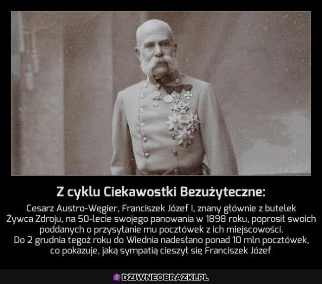 Ciekawostka