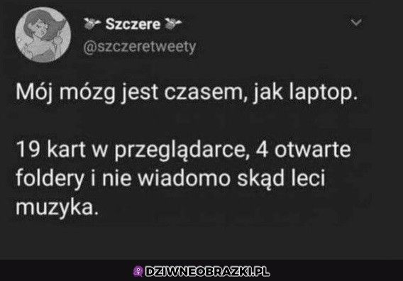 Mózg jak laptop