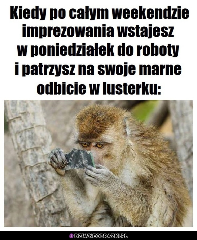 Niedobrze