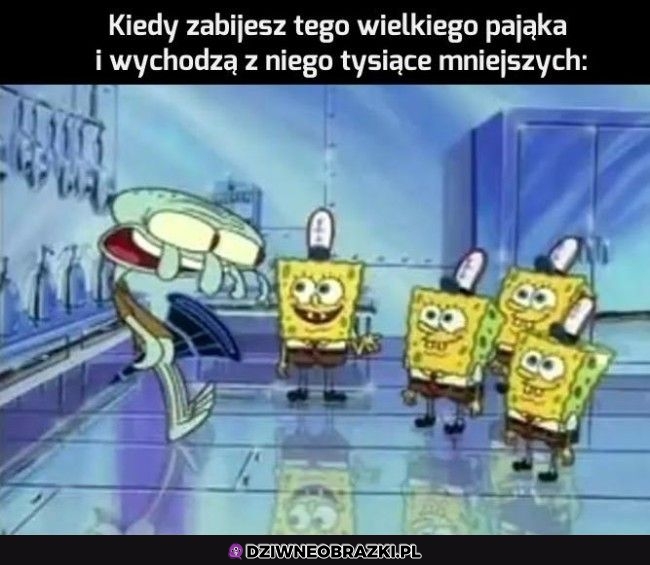 Ten moment