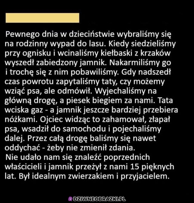 Ojcowie zawsze najpierw mówią nie