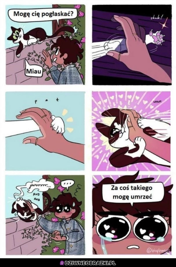 Komiks o głaskaniu kota