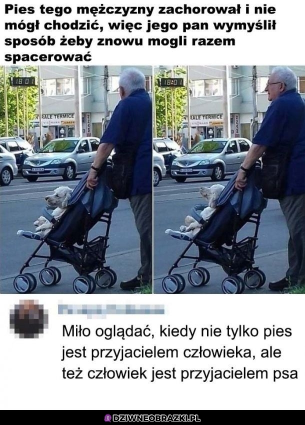 Miły obrazek