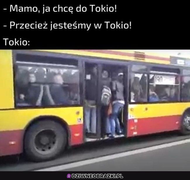 Nasze własne Tokio