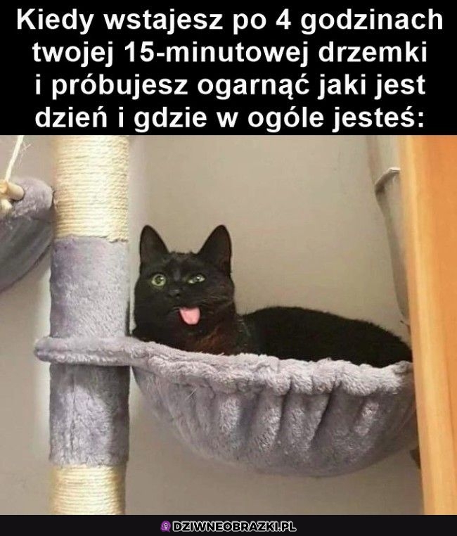 Ten moment