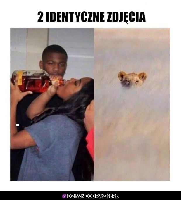 Czekanko na ofiarę