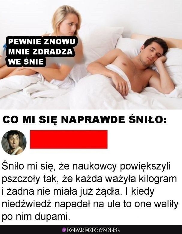 Potwierdzam, że są takie sny