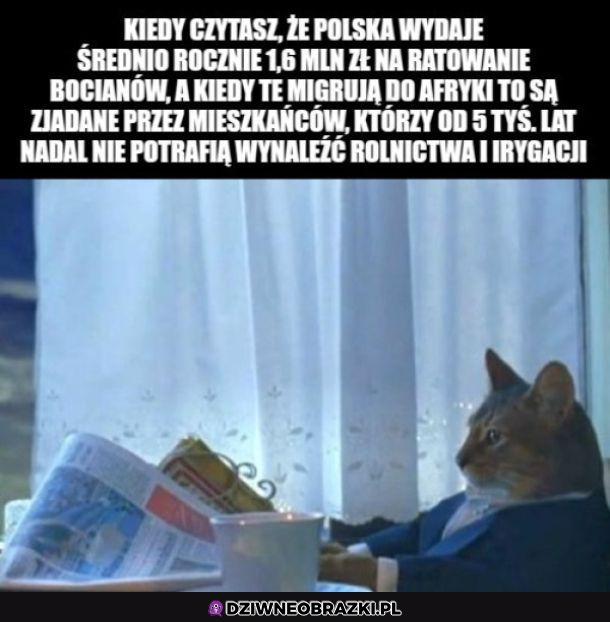 Lekki szok