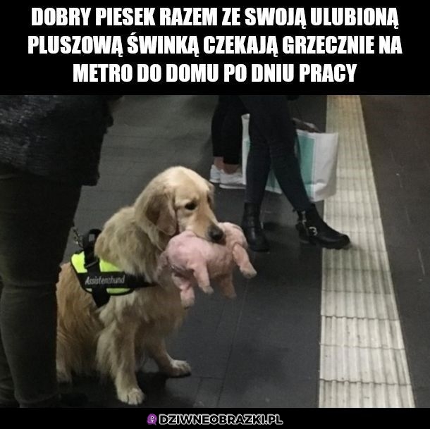 Aww