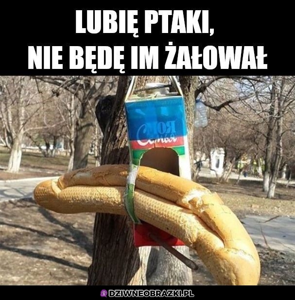 Na bogato