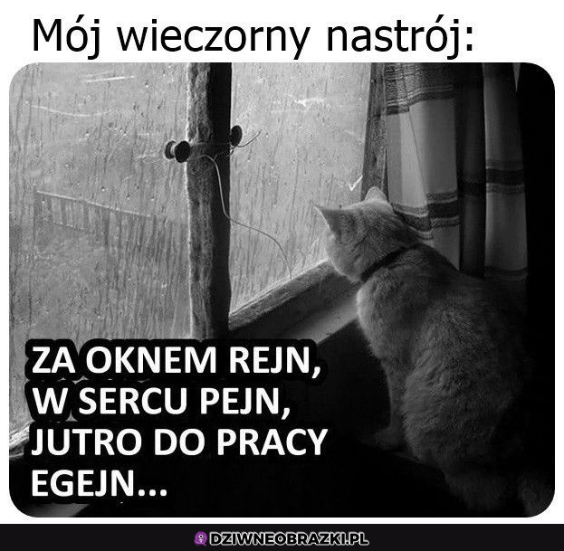 Polska jesień wita 