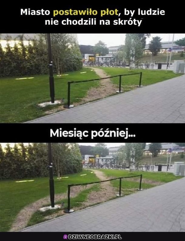 Genialna inwestycja