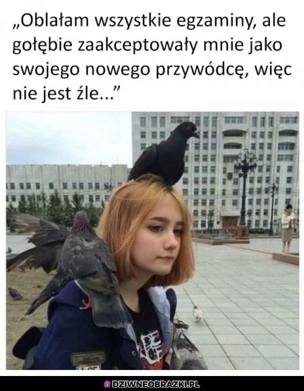 Jakoś się układa