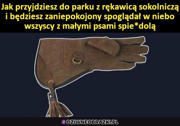 Tip na pusty park 