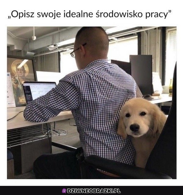 Idealne