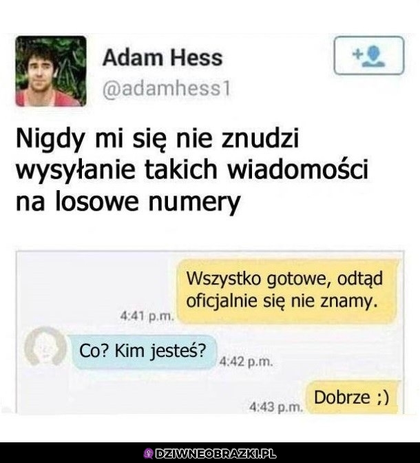 Randomowe wiadomości