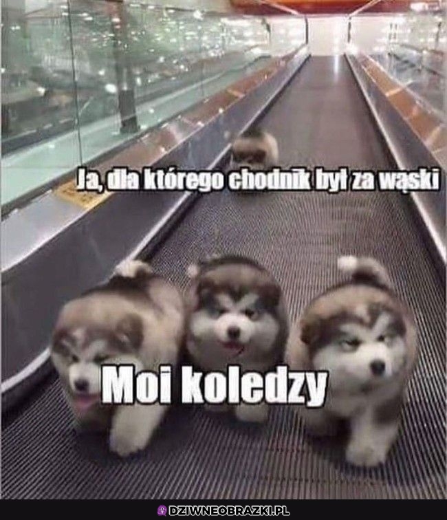 Zawsze