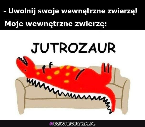 Twoje wewnętrzne zwierzę