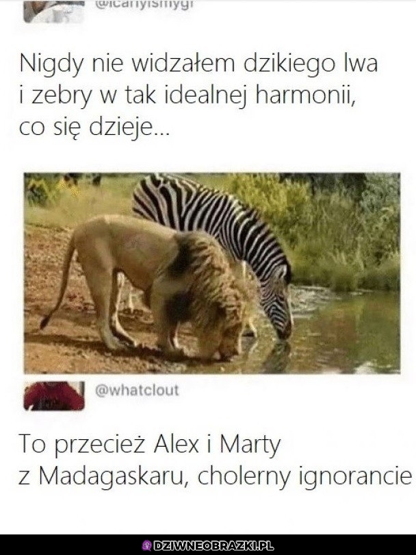 To oni