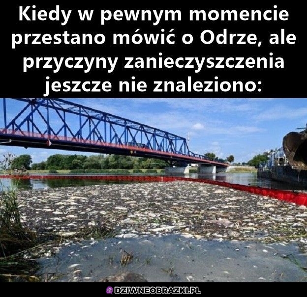 Ktoś wie co się stało?