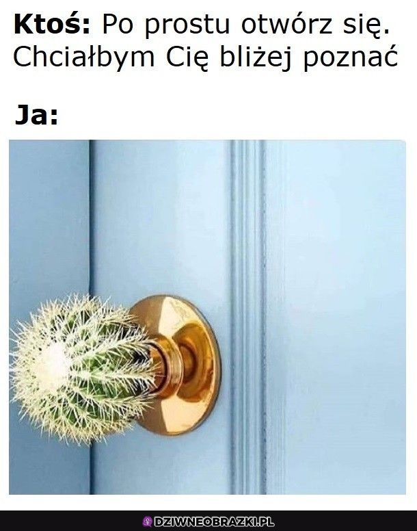 Zapraszam