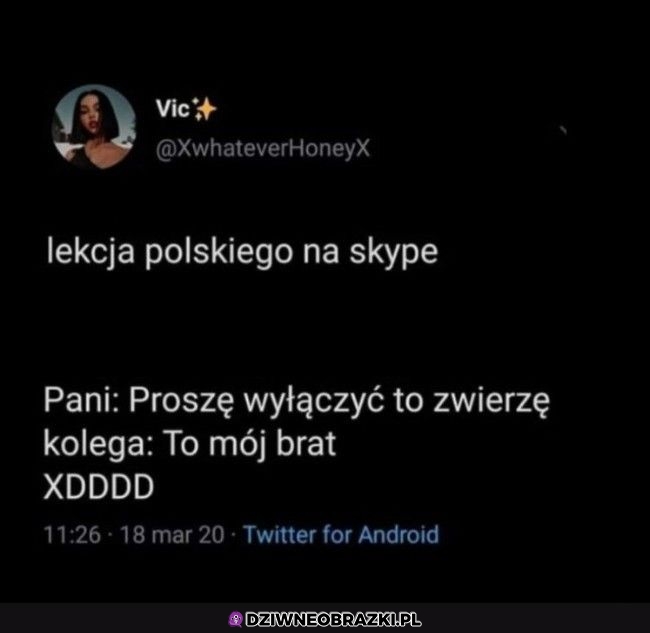 E-lekcje takie są