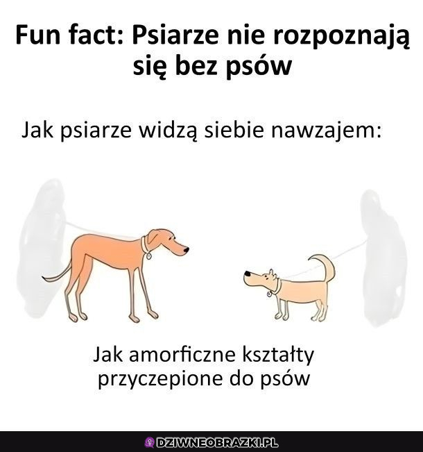 psiarze