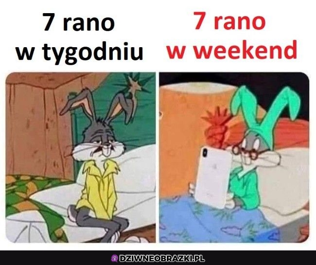 7 rano taka jest