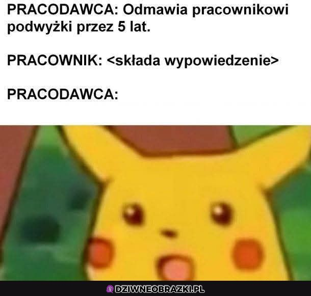 Pracodawca w szoku