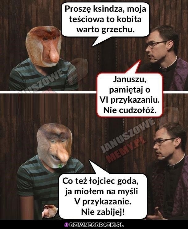 Teściowa grzechu warta