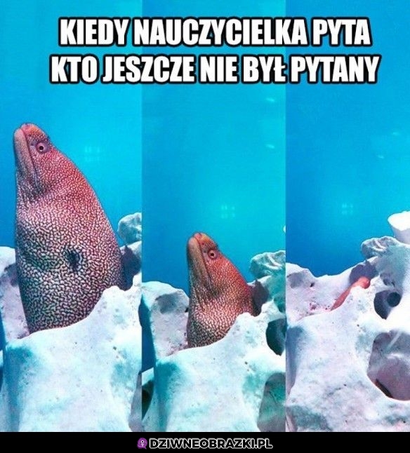 Ten moment