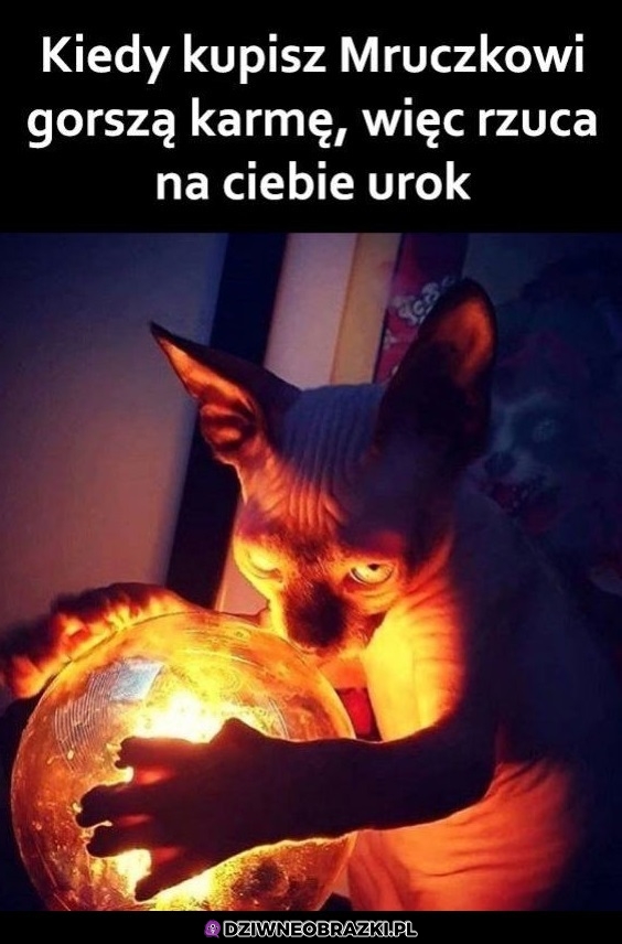 Zginiesz śmiertelniku
