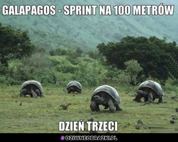 Za miesiąc skończą