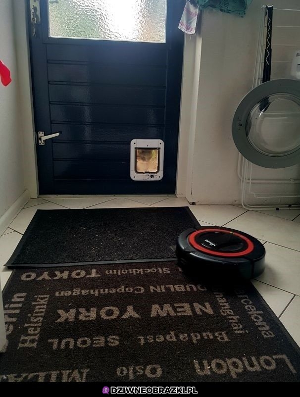 Widać kto tu rządzi
