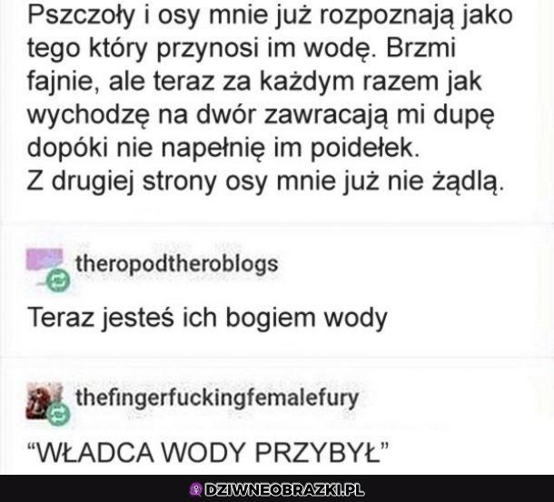 Uroki pszczelarstwa