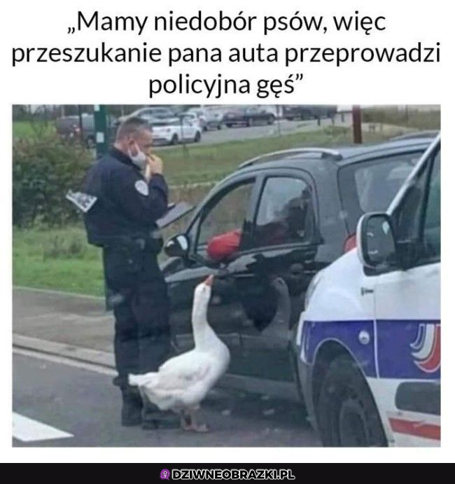 kiedy w policji jest niedobór psów xD